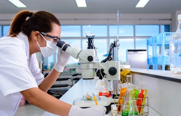 Bachelor in Medical Laboratory Technology